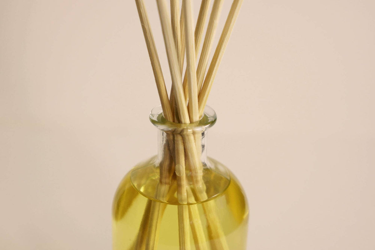 THE OLPHACTORY ORANGE & CINNAMON stick air freshener